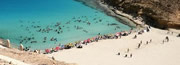 Mediterraneo