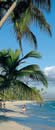 Punta Cana