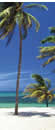 Varadero