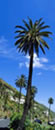 Gomera