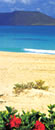 Fuerteventura con coche