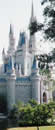 Orlando