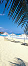 M�xico