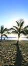 Tenerife