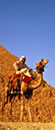 Egipto