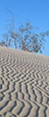 Fuerteventura
