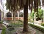 Foto 5 - Balneario De San Nicolás