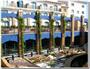 Foto 4 - Hotel La Laguna Spa & Golf