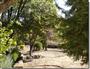 Termal Resort El Salugral ****