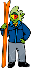 Ofertas Ski